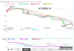 原油的主要成分黄金投资我却赚钱了