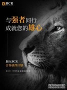 MT4/MT5���й��������зǳ��ܻ�ӭ-Ӧ���̵�app����