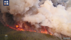 ���ô�����Ҫ������ʡ����������ʡ�Ϳ�����ʡҲ������Ұ��ȫ��